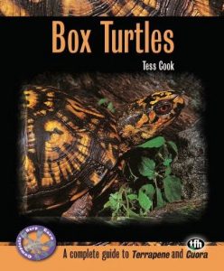 box turtles by tess cook