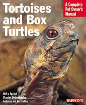 tortoises and box turtles